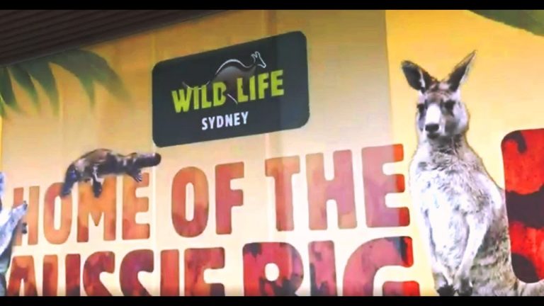 Wild Life Zoo Tour – Sydney